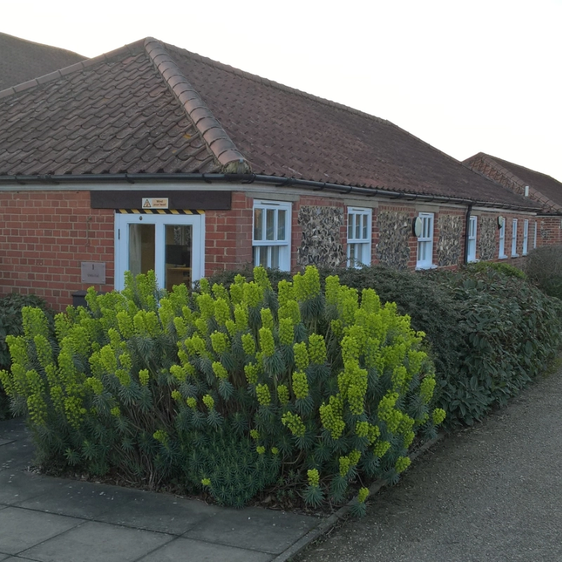 A brick building featuring multiple brick walls, surrounded by landscaping including shrubs and plants, under a clear sky. The structure has windows and a roof, resembling a cottage-style home.